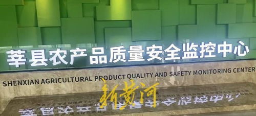 高瞰山東打卡聊城 莘縣蔬菜瓜果安全無憂，網絡安全軟件開發保障數字生活
