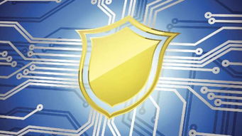 2019年蒼南縣網(wǎng)絡(luò)安全宣傳周啟動 聚焦網(wǎng)絡(luò)安全軟件開發(fā)，活動精彩不容錯(cuò)過